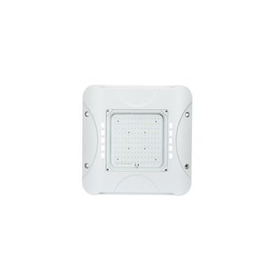 40w-150w Открытый светодиодный фонарь АЗС IP66